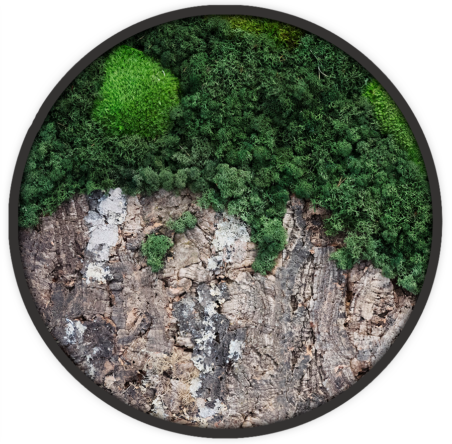 Ecobrick - Naturel corky