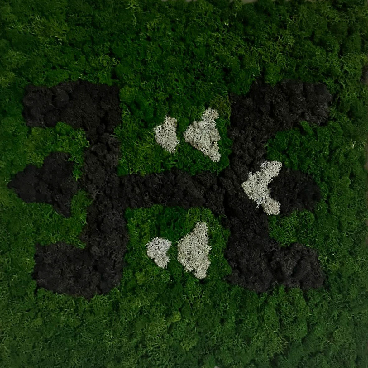 alb2