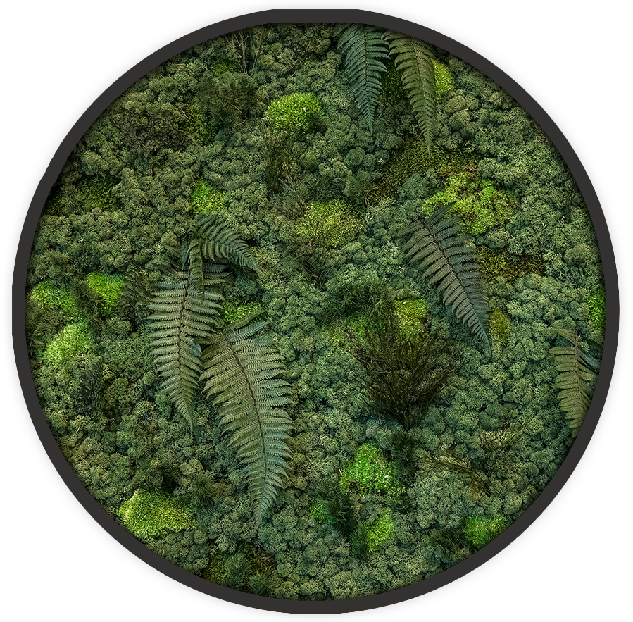 Ecobrick - Jungle basic