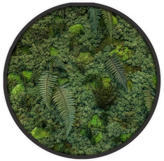Ecobrick - Jungle basic